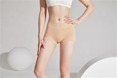 ДНИ НА ПРЕДСТАВЛЕНИЕТО